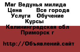 Маг Ведунья милида  › Цена ­ 1 - Все города Услуги » Обучение. Курсы   . Калининградская обл.,Приморск г.